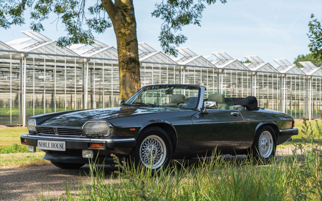 Jaguar XJS V12