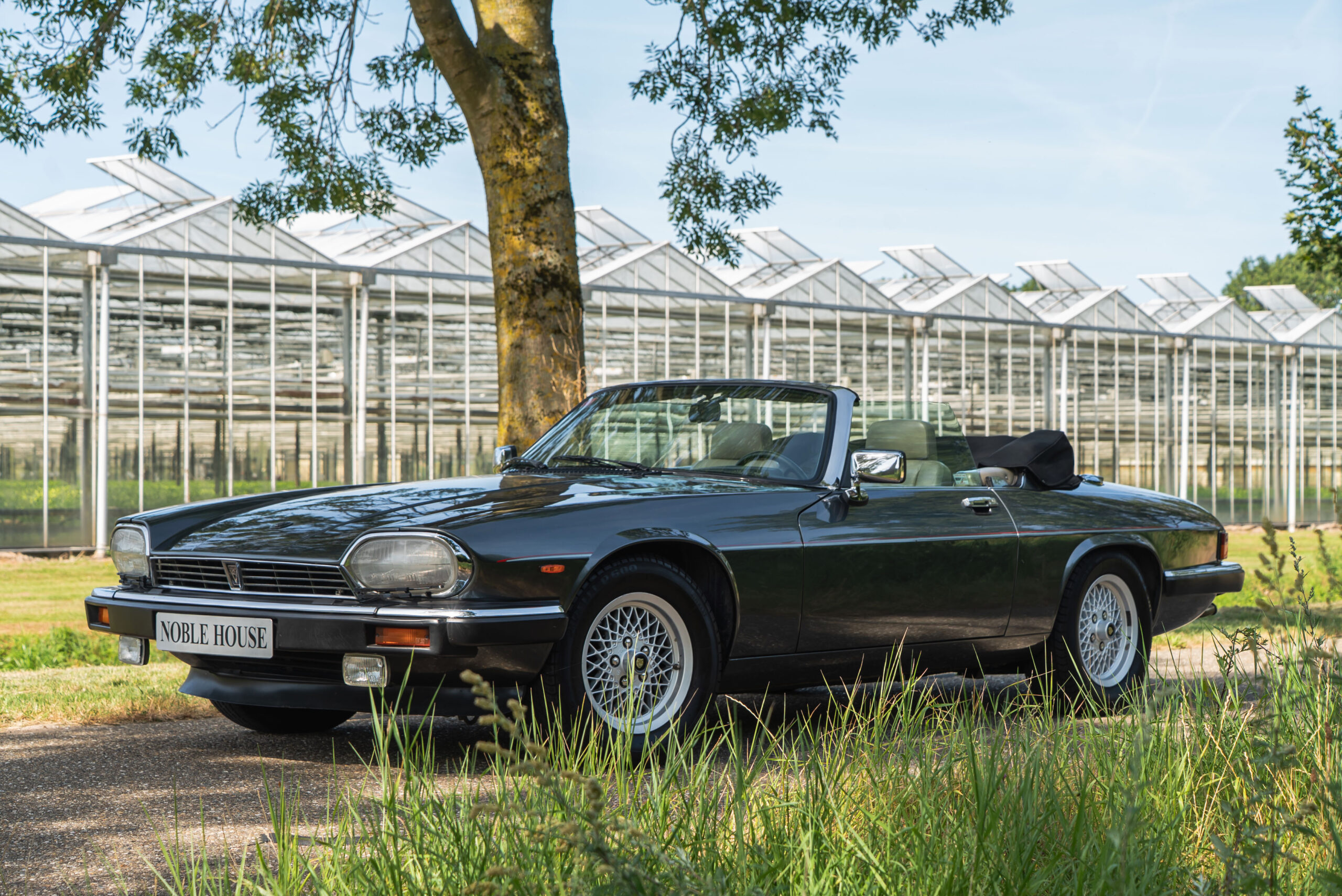 Jaguar XJS V12
