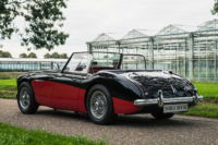 Austin Healey